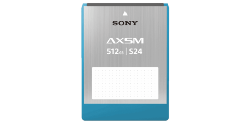 Sony Memory Card AXS 512S24 (512-GB)